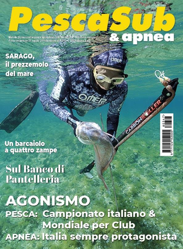 Pescasub & Apena Agosto 2018