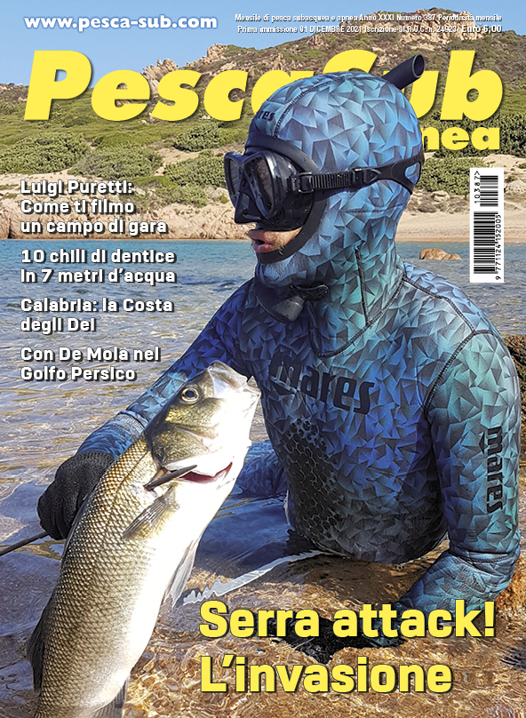 12_cover